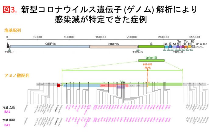 新型コロナウイルス遺伝子 (ゲノム) 解析により 　　 　　　　感染減が特定できた症例