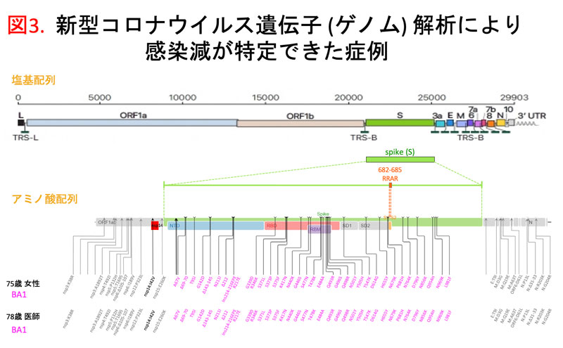 新型コロナウイルス遺伝子 (ゲノム) 解析により感染減が特定できた症例 